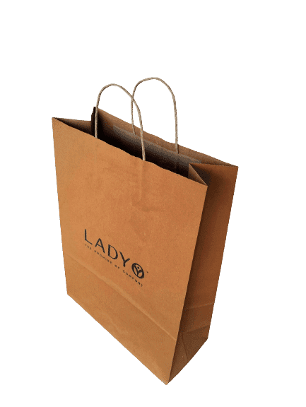 Paper Box Bag (Standard)